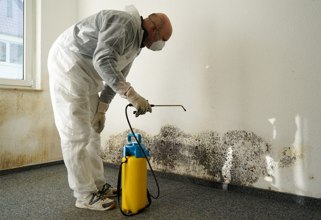 Mold Removal